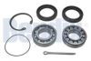 VW 016311235 Wheel Bearing Kit